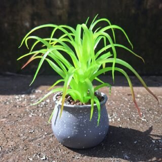 Pawpetals Artificial green grass