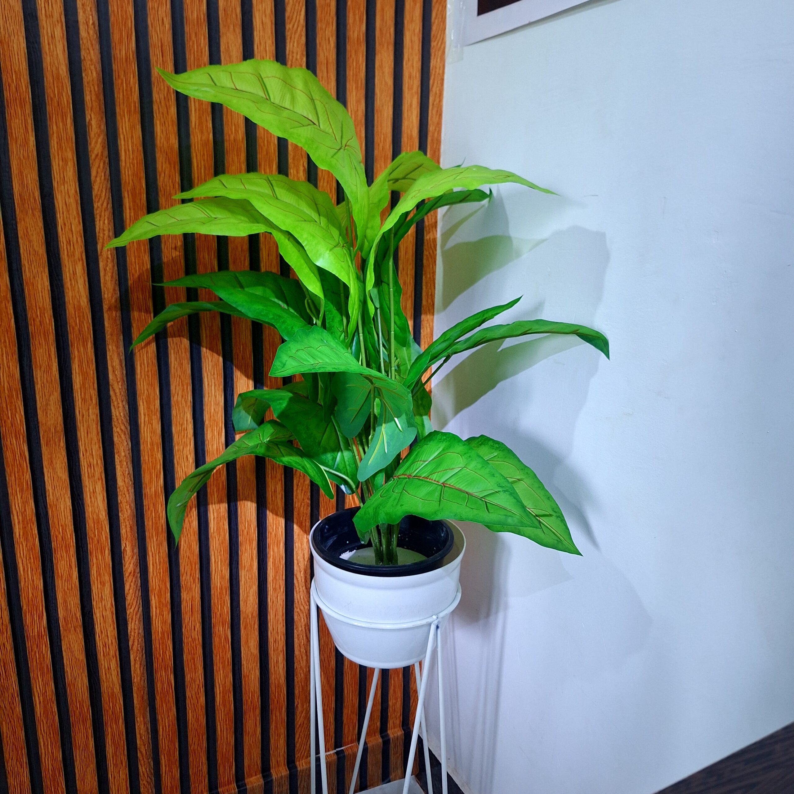 Artificial alocasia plant