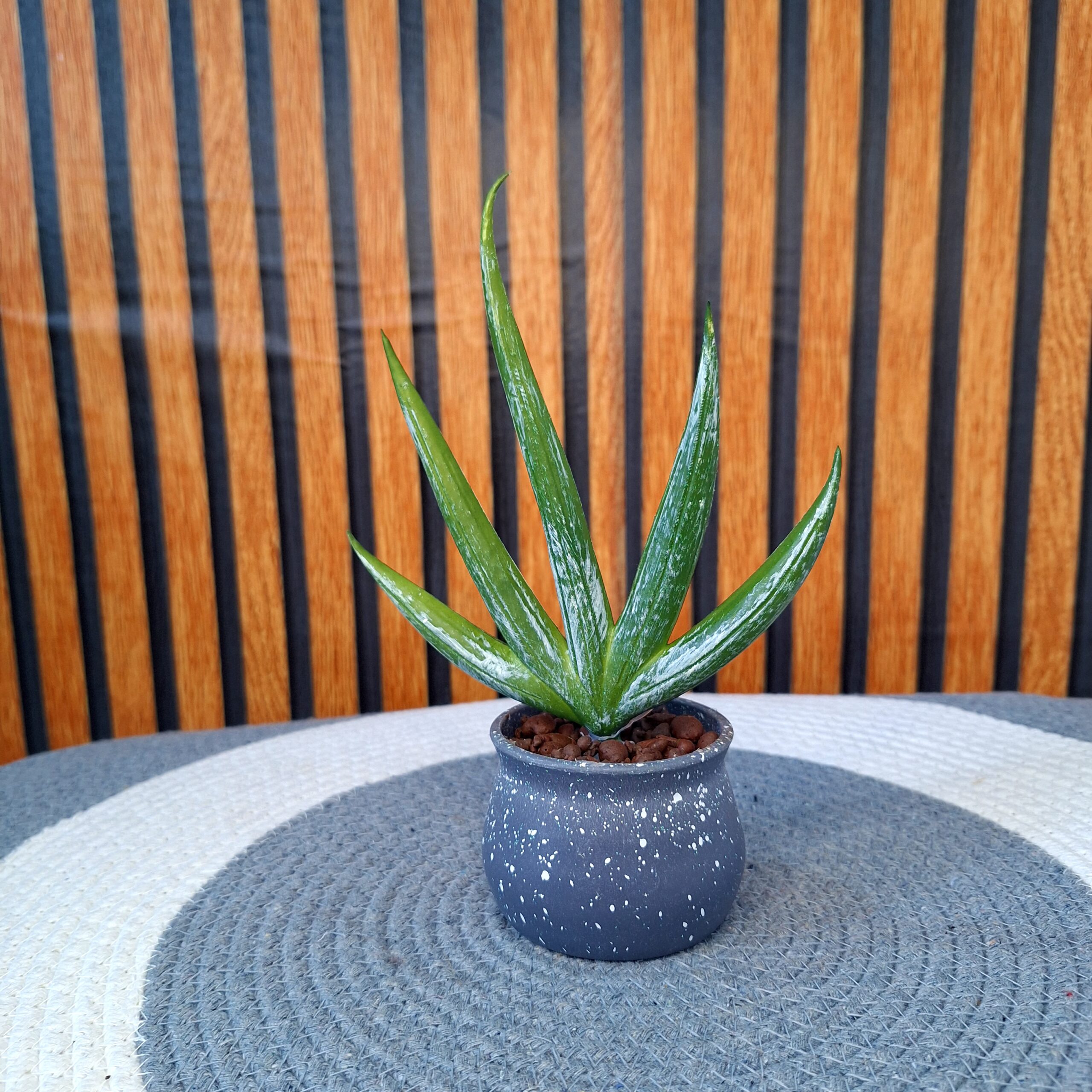 Artificial Cactus mini