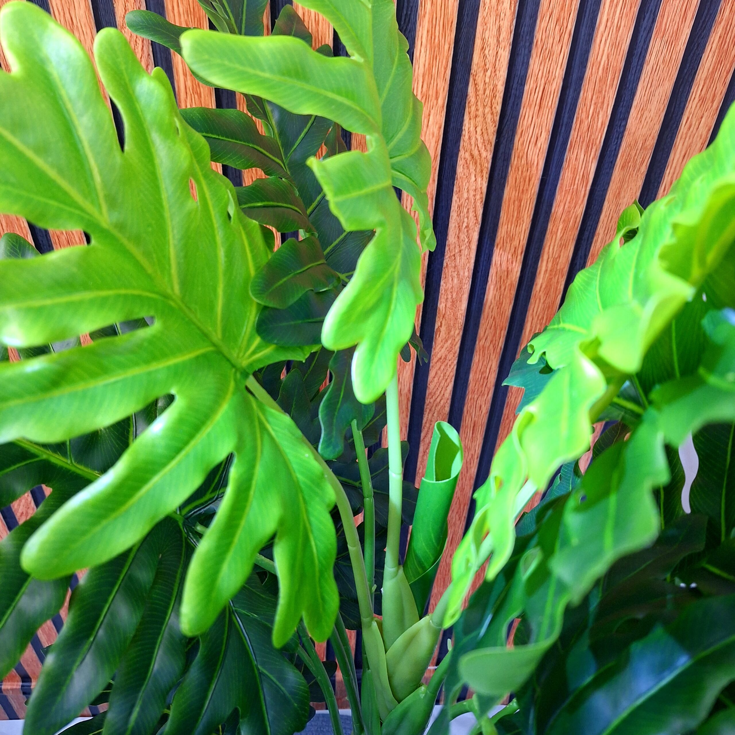 Artificial SEllum PLANT