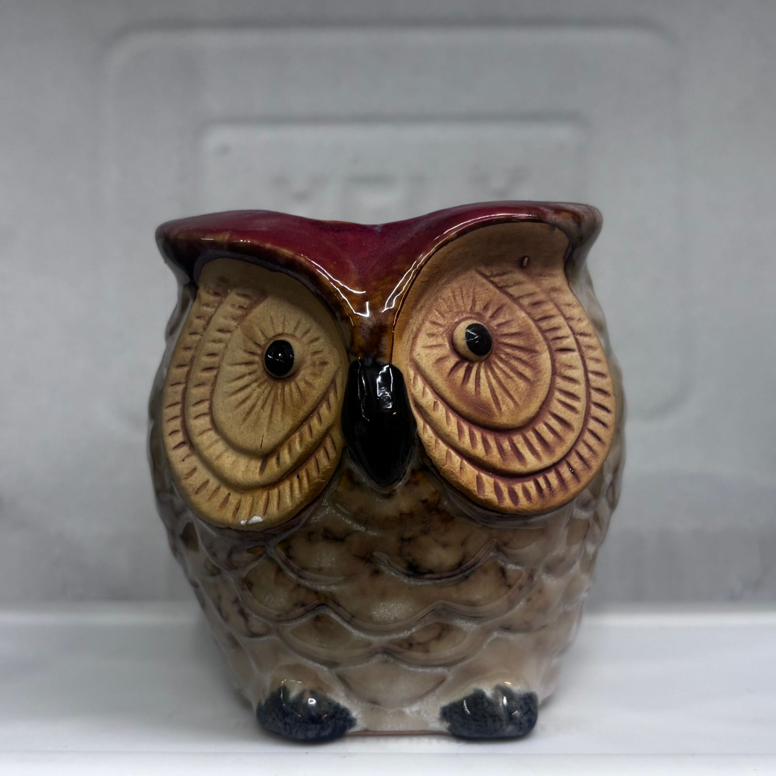 PawPetals Mini Ceramic Pots – Elegant & Modern