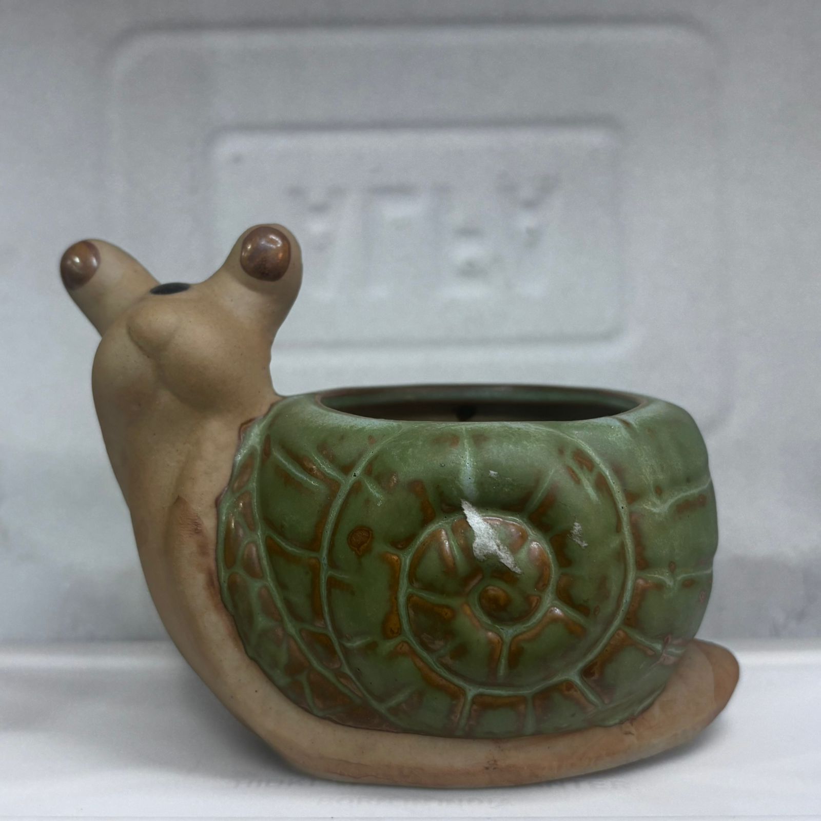 PawPetals Mini Ceramic Turtle-Shaped Pot