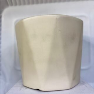 Pawpetals Hexagon Mini Ceramic Pot