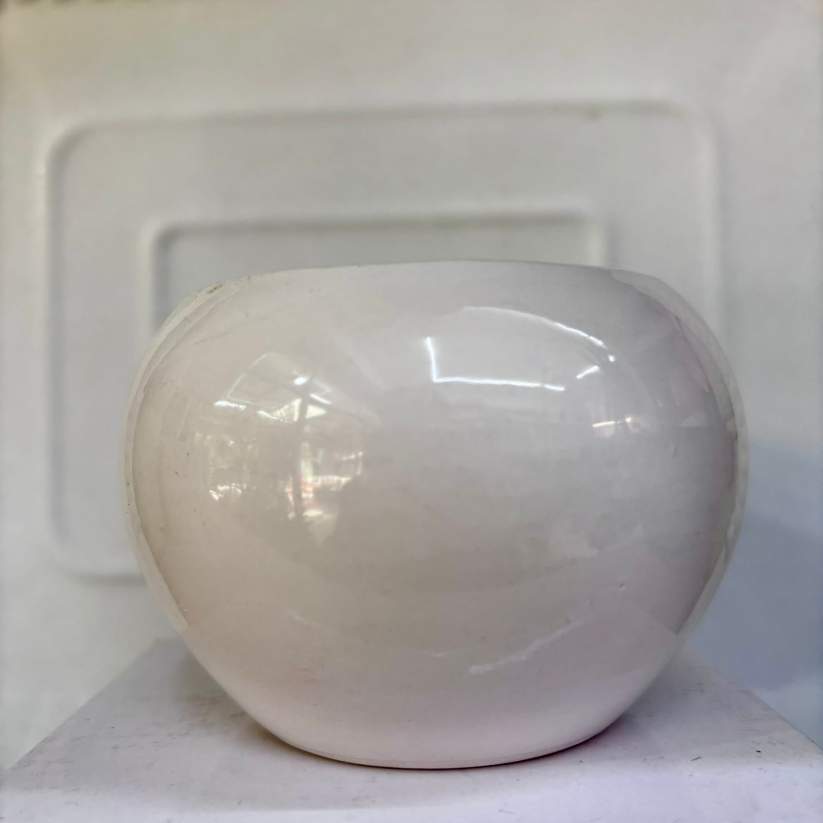 Paw Petals Round Ceramic Pot