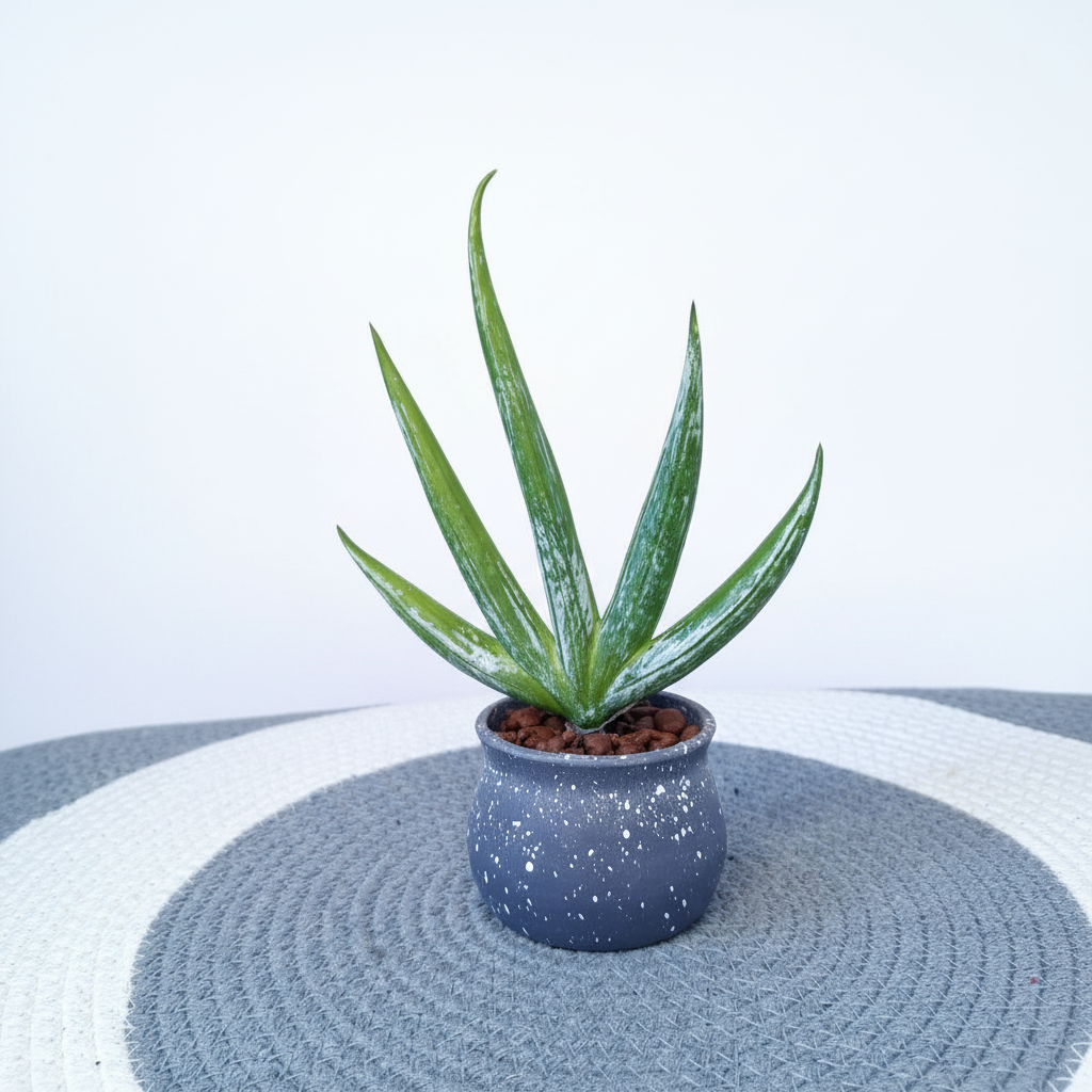 artificial cactus mini potted plant