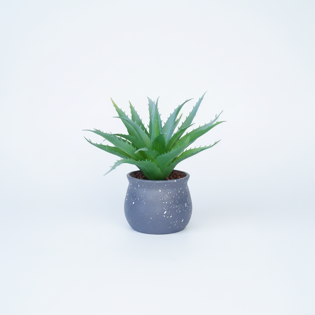 Pawpetals aloevera mini tabletop plant with pot