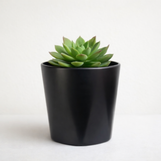 Pawpetals Hexagon Mini Ceramic Pot