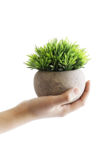 PAWPETALS CERAMIC POT