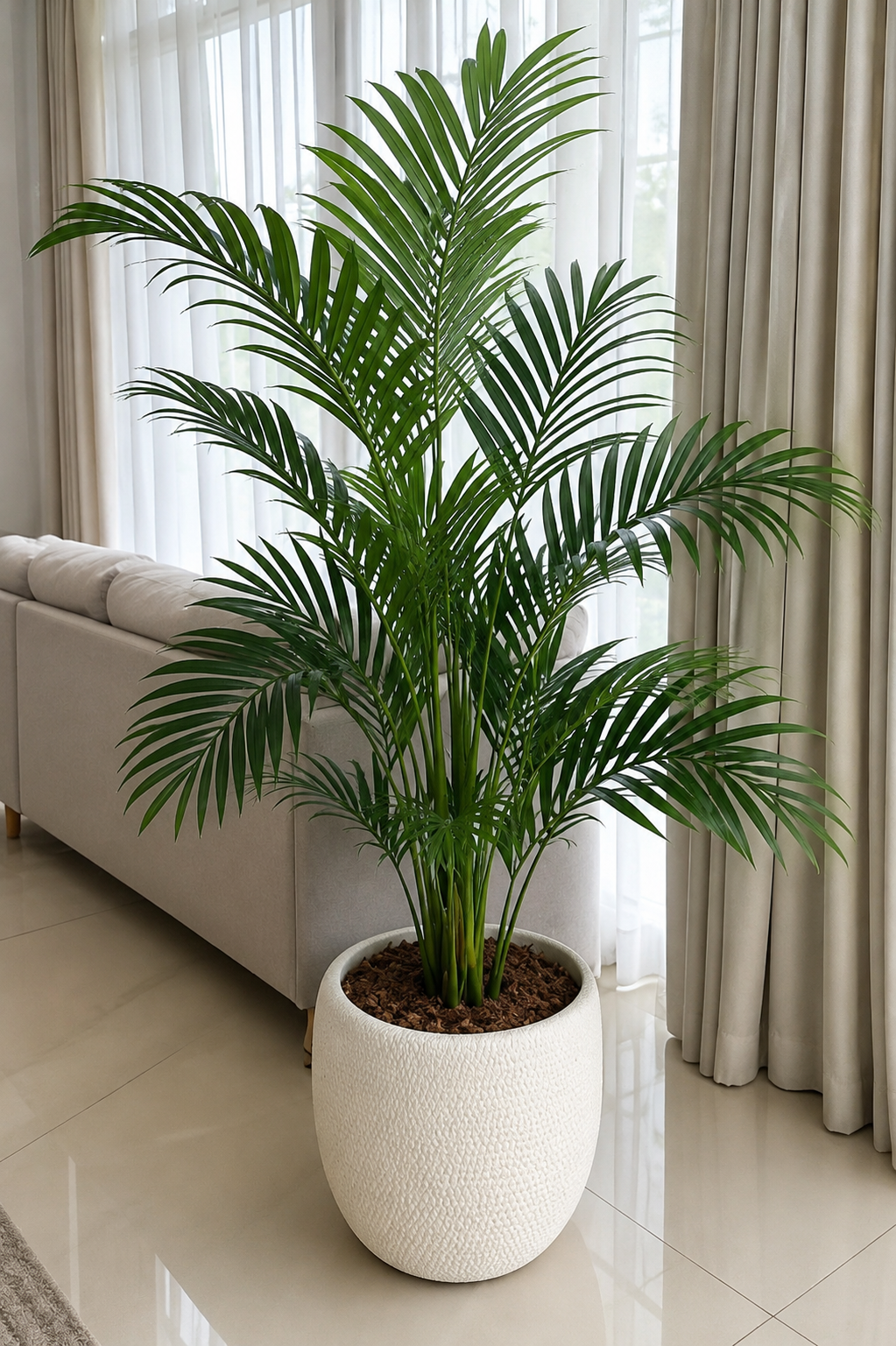 Artificial Plants
